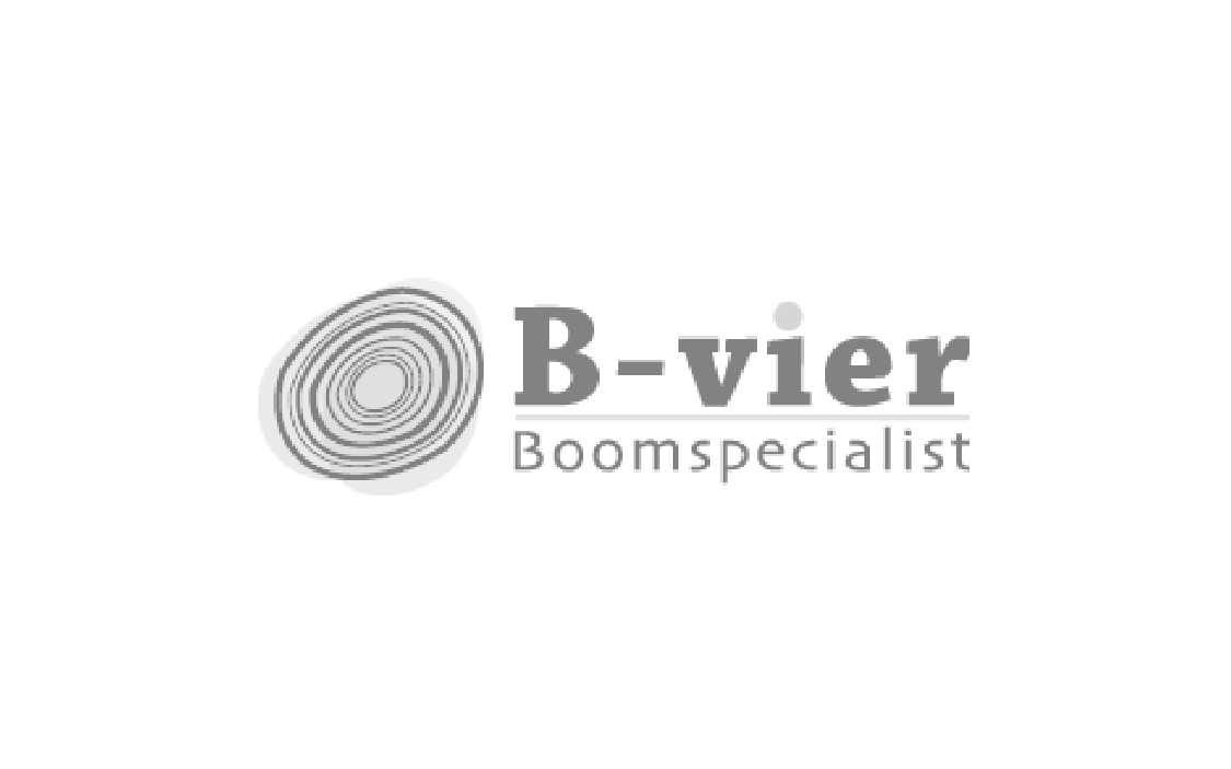 Logo ontwerp Bvier Boomspecialisten Reclamebureau Utrecht Branding Utrecht